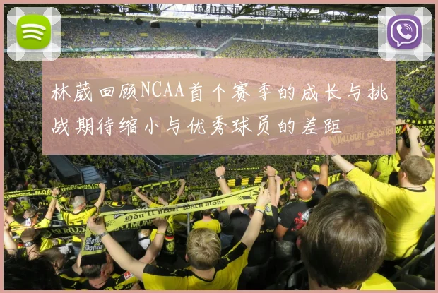 林葳回顾NCAA首个赛季的成长与挑战期待缩小与优秀球员的差距